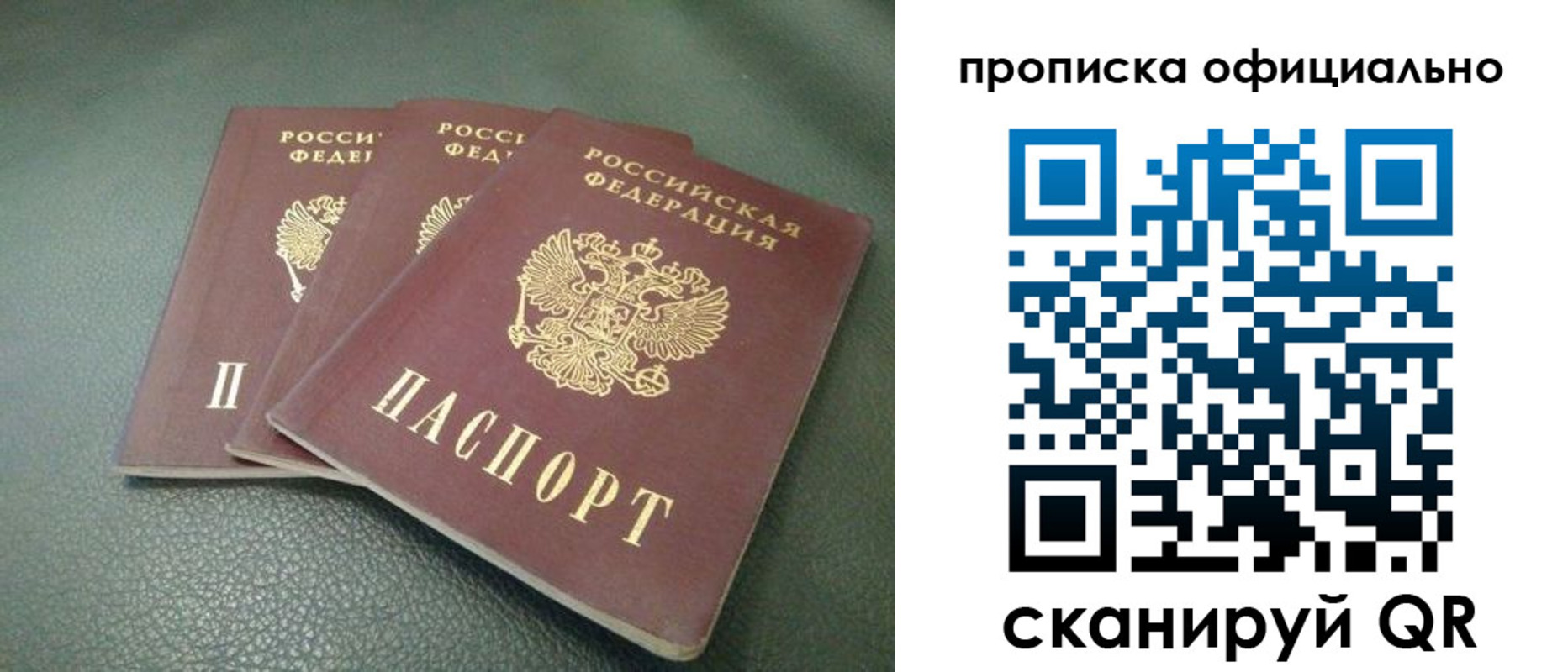 прописка для школы в Чкаловске